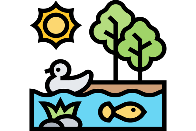 Ecosystems and Biomes