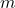 \( m \)
