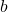 \( b \)