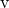 $\mathbf{v}$