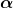 \(\boldsymbol{\alpha}\)