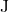 $\mathbf{J}$