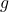 \( g \)