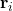 \(\mathbf{r}_i\)
