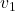 \(v_1\)