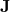 \(\mathbf{J}\)
